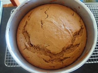 Zázvorovy koláč s hruškami (fotorecept) - obrázok 14