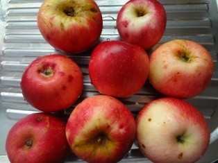 Hruškovo-jablkový džem (fotorecept) - obrázok 1