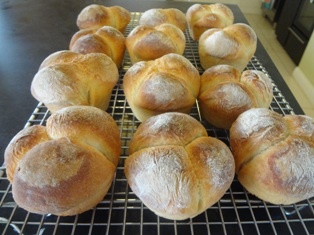 Zemiakové žemle (fotorecept) - obrázok 10