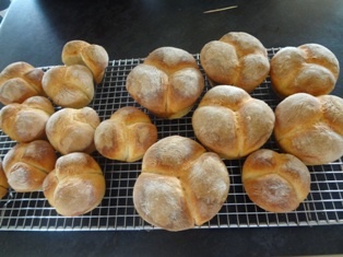 Zemiakové žemle (fotorecept) - obrázok 13