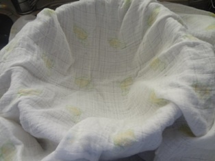 Halloumi (fotorecept) - obrázok 5