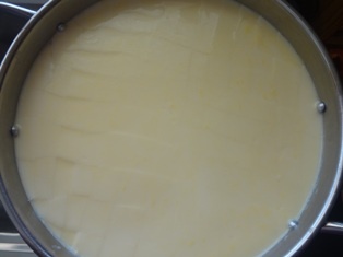 Gouda (fotorecept) - obrázok 1