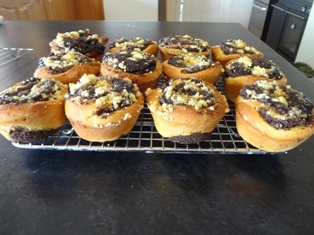 Makové osie hniezda (fotorecept) - obrázok 11