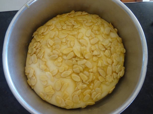 Bee sting - Bienenstich - Bodnutie včelou (fotorecept) - obrázok 12