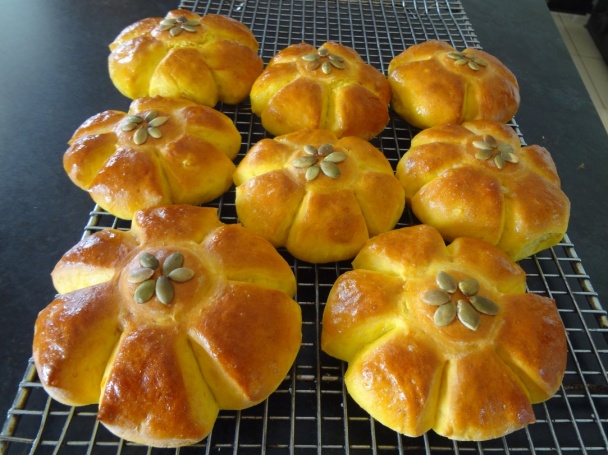 Rohlíky a žemle zo žltej tekvice (fotorecept) - obrázok 8