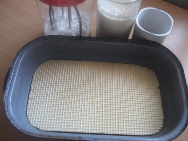 Domáca ruská zmrzlina (fotorecept) - obrázok 1