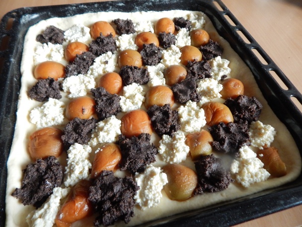 Kysnutý koláč s makom, tvarohom a marhuľami (fotorecept) - obrázok 4