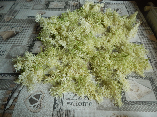 Marmeláda z bazových kvetov (fotorecept) - obrázok 1