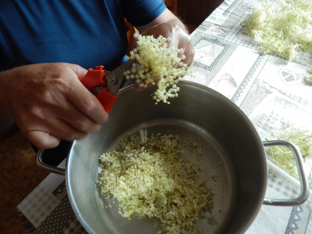 Marmeláda z bazových kvetov (fotorecept) - obrázok 2