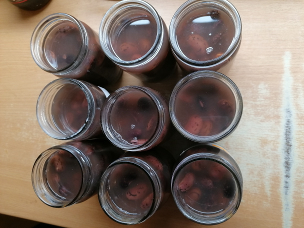 Sterilizovaná fazuľa v slano-sladkom náleve (fotorecept) - obrázok 2