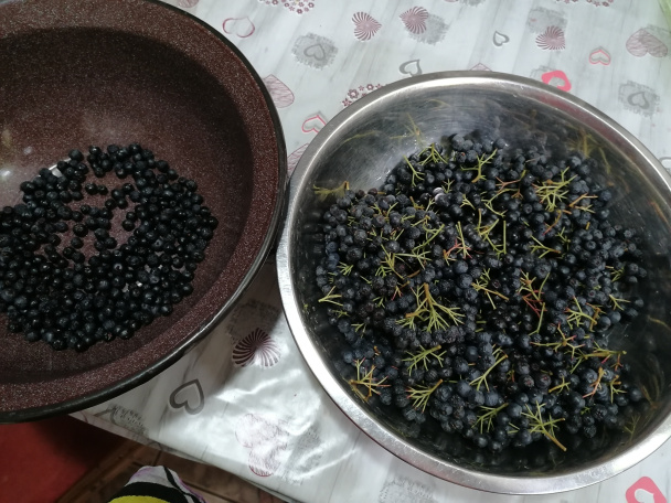 Kompót z arónie (fotorecept) - obrázok 1