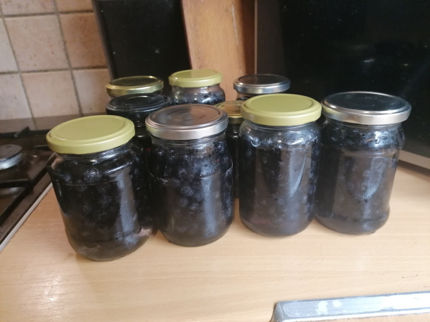 Kompót z arónie (fotorecept) - obrázok 7