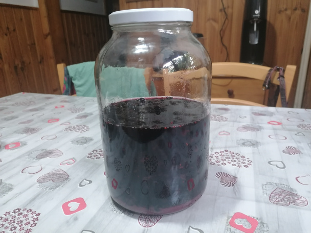 Likér z arónie - obrázok 4