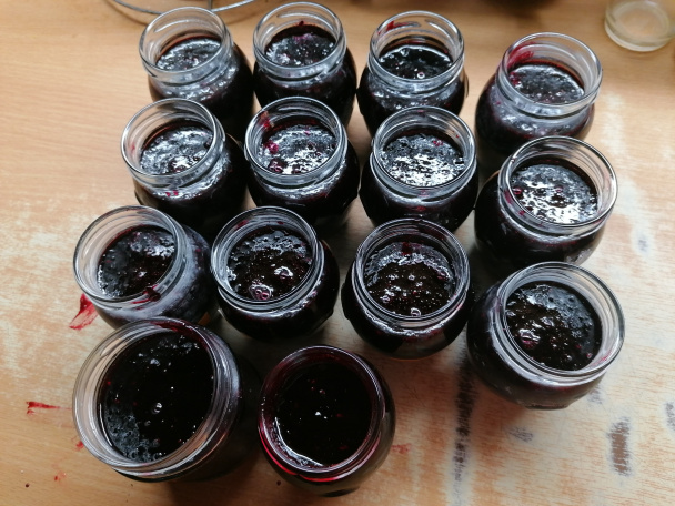 Džem z arónie (fotorecept) - obrázok 5