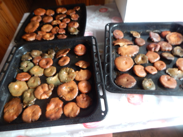 Rýdziky pečené na masle - obrázok 2