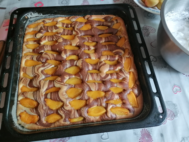 Marhuľové dunajské vlny (fotorecept) - obrázok 1