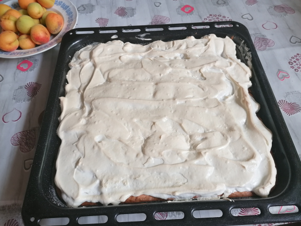 Marhuľové dunajské vlny (fotorecept) - obrázok 3