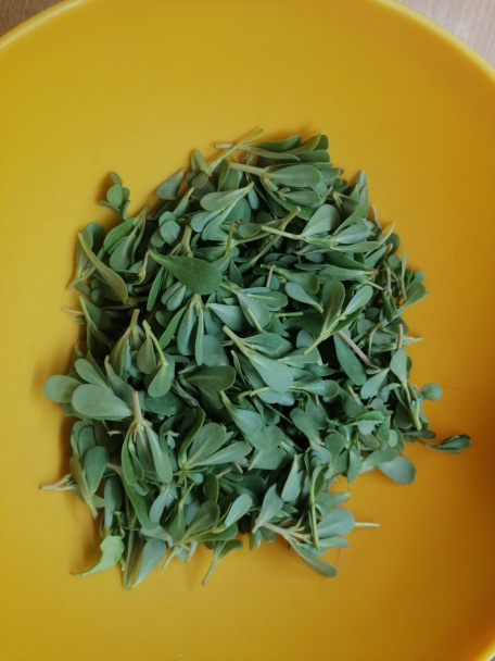 Pesto z portulaky zeleninovej (fotorecept) - obrázok 2