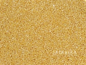 Pšenový koláč (fotorecept) - obrázok 2