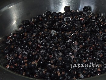 Pohánkový nákyp s čiernymi ríbezľami (fotorecept) - obrázok 7