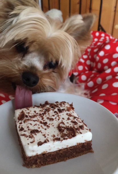 Smotanový koláčik - obrázok 4