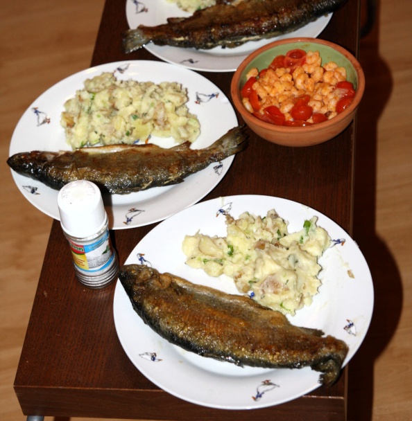 Pstruhy, krevety a iné pochutiny - obrázok 3