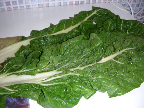 Mangold zapečený so syrom (fotorecept) - obrázok 1