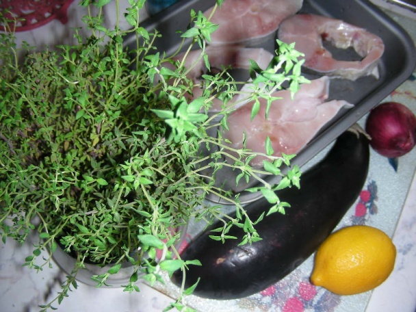 Tolstolobik s baklažánom - obrázok 1