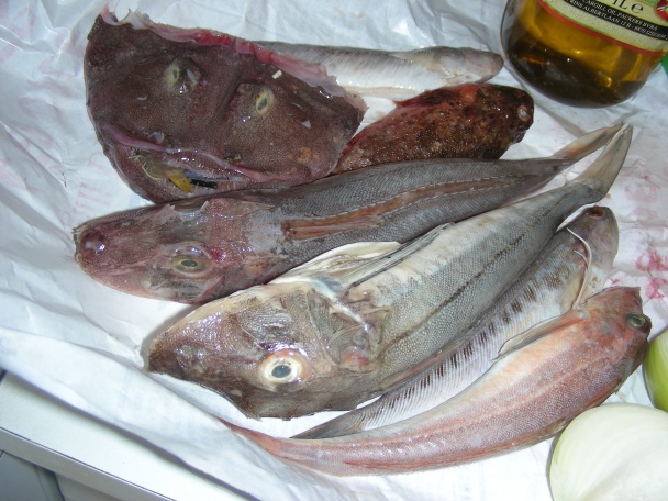 Rybacia polievka - soupe de poisson (fotorecept) - obrázok 1