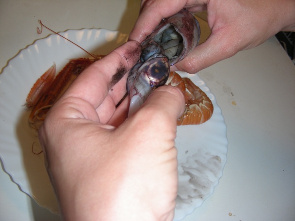 Rybacia polievka - soupe de poisson (fotorecept) - obrázok 4