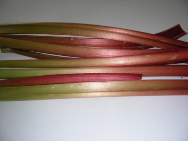 Inovované rebarborové tarteletky (fotorecept) - obrázok 2