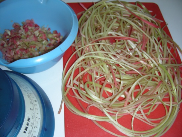 Inovované rebarborové tarteletky (fotorecept) - obrázok 3