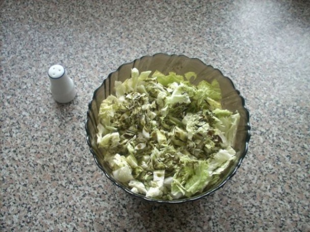 Zeleninové šaláty s tradičným tekvicovým olejom - obrázok 2