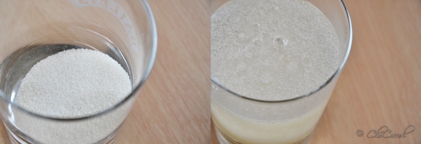 Škoricová panna cotta s čučoriedkami (fotorecept) - obrázok 3