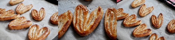 Orejas (fotorecept) - obrázok 9