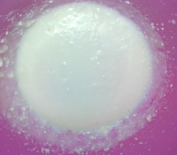 Kakaové slimáky bleskovky (fotorecept) - obrázok 1