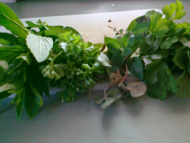 Kuracie stehná na zelenine - Лесни пилешки бутчета със зеленчуци (fotorecept) - obrázok 2