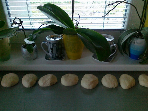 Sečenica - Сеченица (fotorecept) - obrázok 3