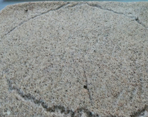 Zamatová roláda duo (fotorecept) - obrázok 1