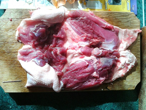 Honosná medová kačica (fotorecept) - obrázok 1