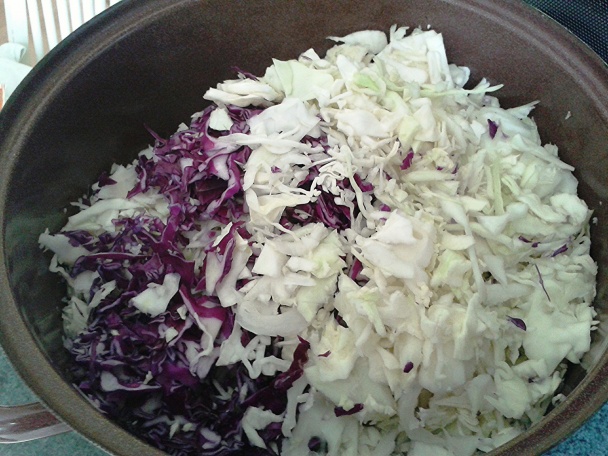 Honosná medová kačica (fotorecept) - obrázok 8