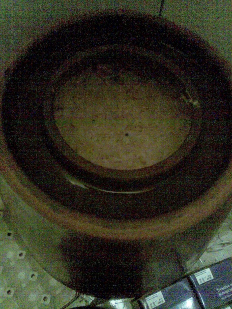 Sudová kapusta - obrázok 3