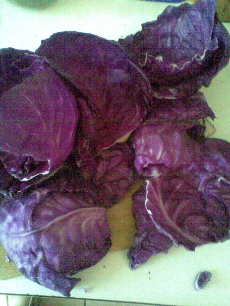 Plnená červená kapusta - eintopf (fotorecept) - obrázok 1