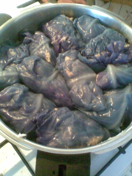 Plnená červená kapusta - eintopf (fotorecept) - obrázok 5