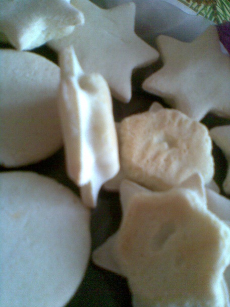 Zázvorníky - obrázok 1