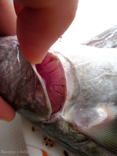 Pečená makrela (fotorecept) - obrázok 2