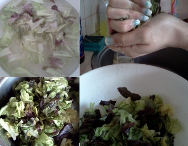 Šalátová polievka dubový list - obrázok 2