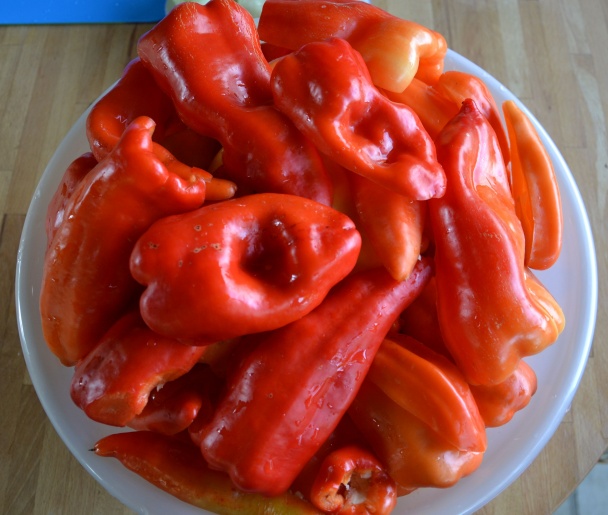 Papriková nátierka Saba (fotorecept) - obrázok 2