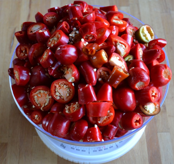 Papriková nátierka Saba (fotorecept) - obrázok 3