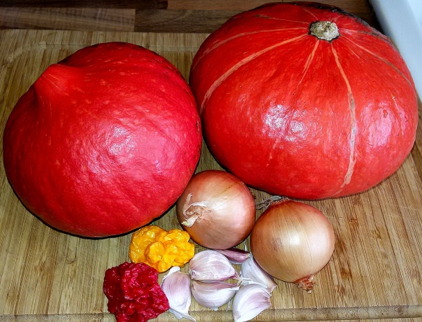 Krémová polievka z pečenej tekvice (fotorecept) - obrázok 1